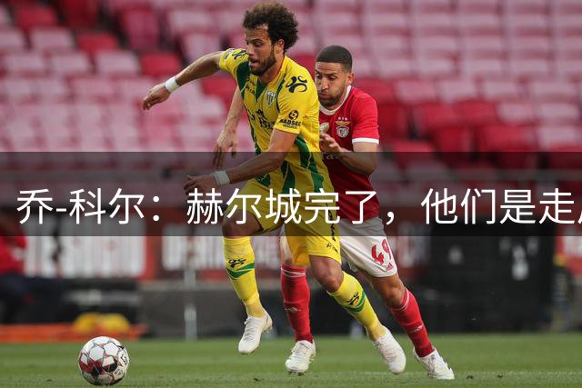 乔-科尔：赫尔城完了，他们是走后门进的英超