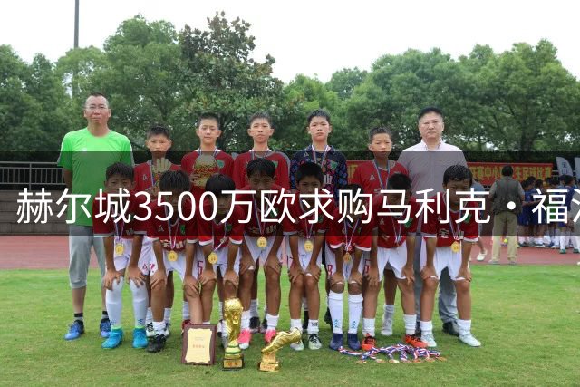 赫尔城3500万欧求购马利克·福法纳，已展开视频洽谈